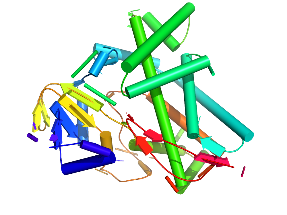Cytochromes P450