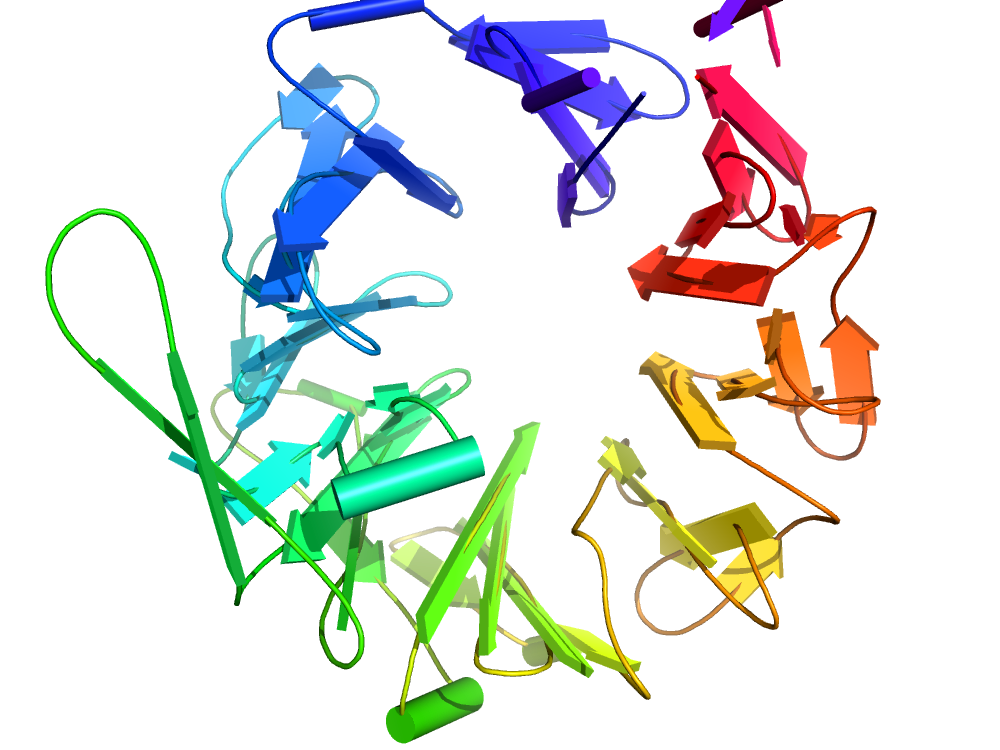 Dipeptidylpeptidase IV, N-terminal domain